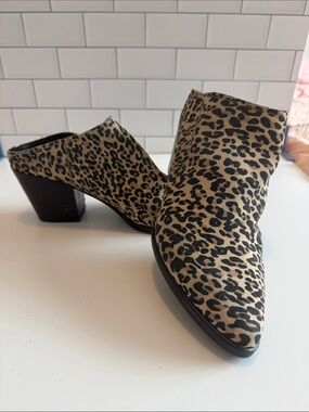 Dolce Vita Leopard Print Mules in Tan and Black